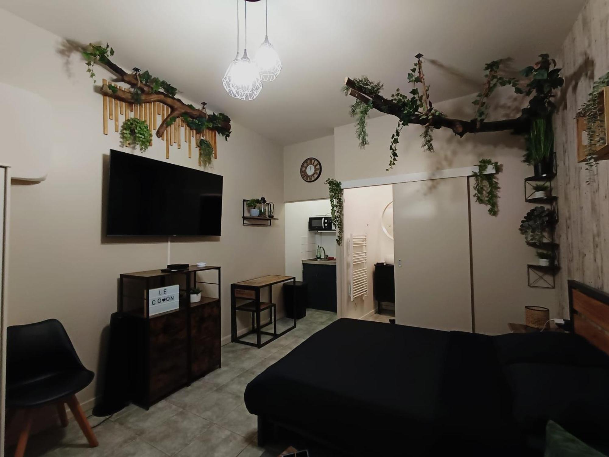 Le Cocon Apartment